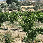 Zeytinycesme L Tiny & Farm L Prázdninový dům Çeşme