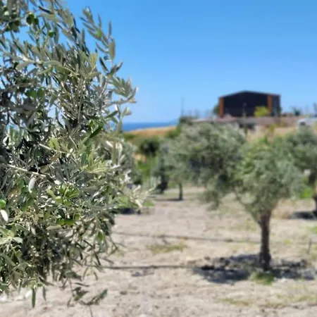 펜션 Zeytinycesme L Tiny & Farm L *