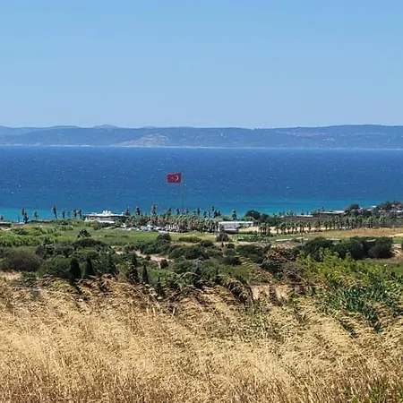 펜션 Zeytinycesme L Tiny & Farm L